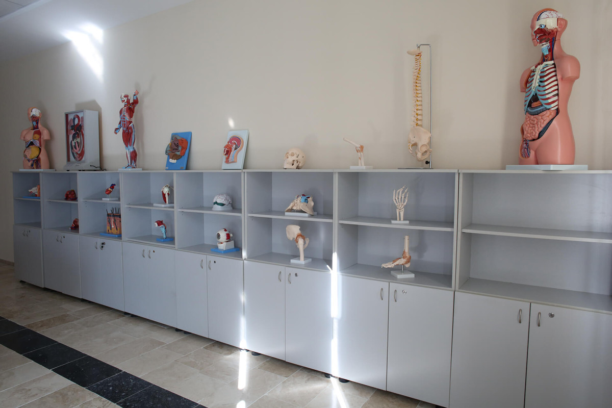 1595243049-1527147912-anatomi lab. 3.jpg